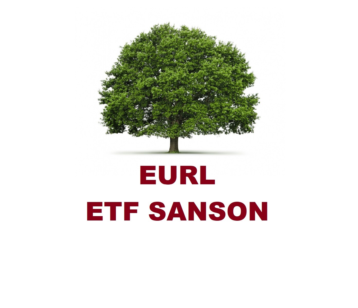 bois-de-chauffage-en-cotentin